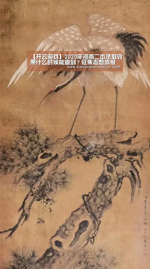 开云推荐