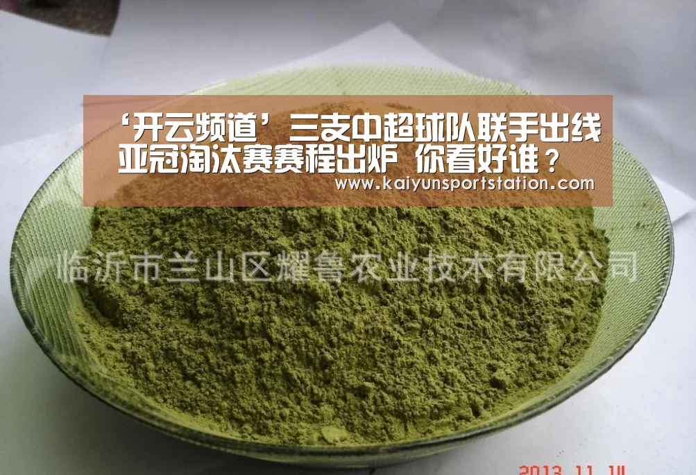 ‘开云频道’三支中超球队联手出线 亚冠淘汰赛赛程出炉 你看好谁?(图1) 开云游戏