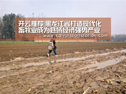 开云推荐|黑龙江省打造现代化畜牧业成为县域经济强势产业(图1) 开云游戏