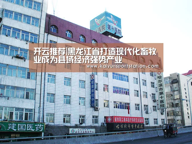 开云推荐|黑龙江省打造现代化畜牧业成为县域经济强势产业(图2) 开云官网