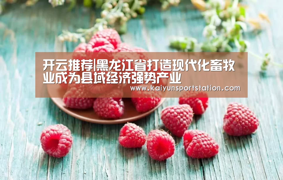 开云推荐|黑龙江省打造现代化畜牧业成为县域经济强势产业(图3) 开云官网
