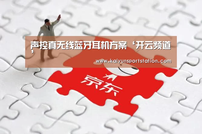 声控真无线蓝牙耳机方案‘开云频道’(图3) 开云官网