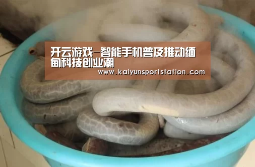 开云游戏-智能手机普及推动缅甸科技创业潮(图1) 开云官网