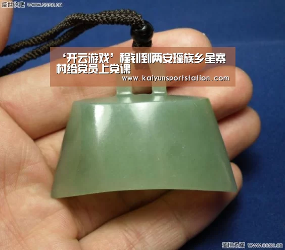 ‘开云游戏’程钊到两安瑶族乡星寨村给党员上党课(图4) 开云推荐