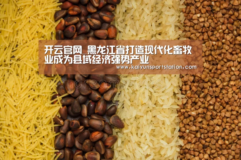 开云官网_黑龙江省打造现代化畜牧业成为县域经济强势产业(图4) 开云推荐