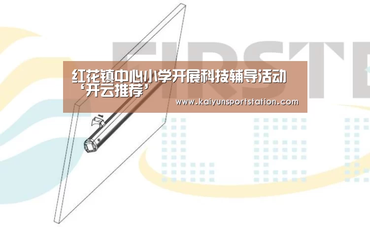 红花镇中心小学开展科技辅导活动‘开云推荐’(图1) 开云游戏