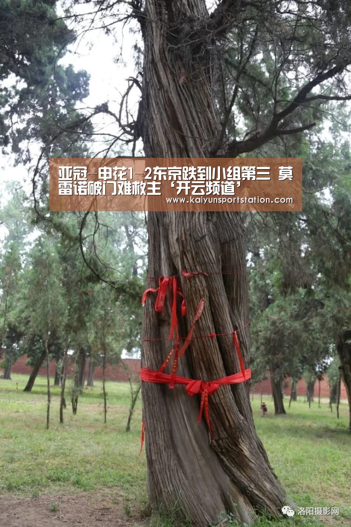 开云游戏