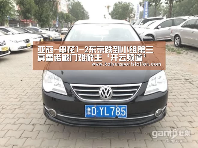 开云推荐